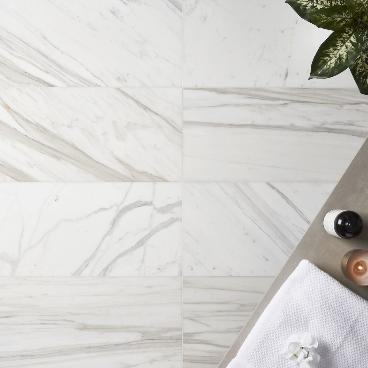Calacatta Gold 12x24 Honed Marble Tile